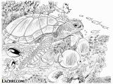 Sea Turtle Coloring Pages for Adults Sea Turtle Colored Pencil Tutorial Lachri Fine Art