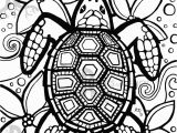 Sea Turtle Coloring Pages for Adults Turtle Coloring Pages Google Search