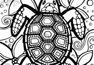 Sea Turtle Coloring Pages for Adults Turtle Coloring Pages Google Search