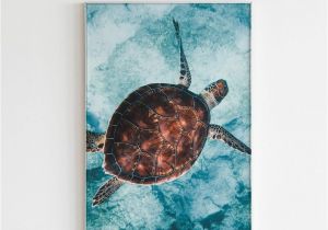 Sea Turtle Wall Mural Turtle Print Turtle Wall Art Ocean Print Oacen Wall Art