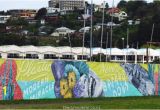 Sea Walls Murals for Oceans Napier Street Art