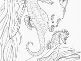 Seahorse Coloring Pages for Adults Adult Seahorse and Seahorse Babies Coloring Page