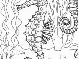 Seahorse Coloring Pages for Adults Coloring for Adults Kleuren Voor Volwassenen Seahorses Pinterest