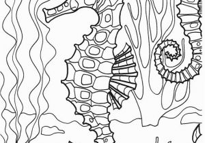 Seahorse Coloring Pages for Adults Coloring for Adults Kleuren Voor Volwassenen Seahorses Pinterest