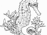 Seahorse Coloring Pages for Adults Realistic Seahorse Coloring Page Seahorses Pinterest