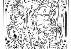 Seahorse Coloring Pages for Adults Seahorse Adult Coloring Pages Az Coloring Pages