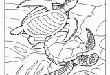 Sealife Coloring Pages Turtle Coloring Pages 371 Best Coloring Book Fish Sea Life Seashells