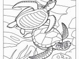 Sealife Coloring Pages Turtle Coloring Pages 371 Best Coloring Book Fish Sea Life Seashells