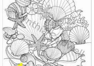 Seashore Coloring Pages 371 Best Coloring Book Fish Sea Life Seashells Images On