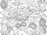 Seashore Coloring Pages Seashell Coloring Pages Bliss Seashore Coloring Book Your Passport