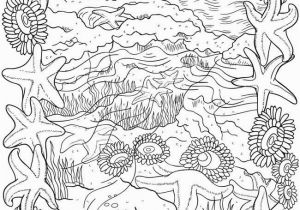 Seashore Coloring Pages Seashell Coloring Pages Bliss Seashore Coloring Book Your Passport