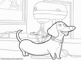 Secret Life Of Pets Coloring Pages Pdf Buddy Pdf Printable Coloring Page the Secret Life Of