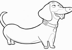 Secret Life Of Pets Printable Coloring Pages the Secret Life Pets Coloring Pages Coloring Home
