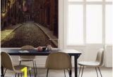 Sepia Wall Murals 20 Best Old School Cool Wall Murals Images