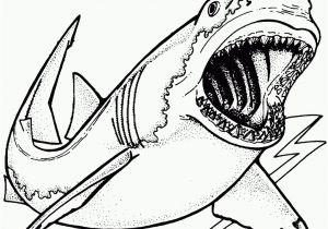 Shark Teeth Coloring Pages Shark Coloring Pages for Adults