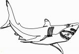 Shark Teeth Coloring Pages Shark Teeth Coloring Pages Free Shark Coloring Pages Coloring