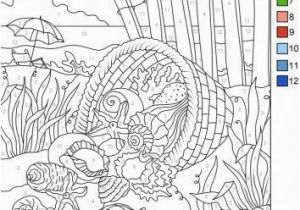 Shell Coloring Pages Sea Shells Color original Style or by Numbers