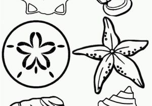 Shell Coloring Pages Shell Coloring Pages Unique 22 Luxury Shell Coloring Pages Ideas