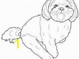 Shih Tzu Coloring Page New Cute Shih Tzu Coloring Pages – Tylerhedrick