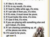 Shih Tzu Coloring Page Shih Tzu Coloring Pages Google Search