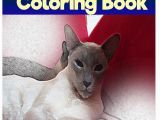 Siamese Cat Coloring Pages Amazon Siamese Cat Coloring Book for Adults Relaxation
