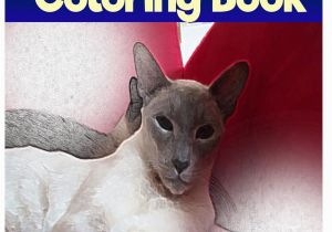Siamese Cat Coloring Pages Amazon Siamese Cat Coloring Book for Adults Relaxation