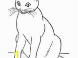 Siamese Cat Coloring Pages Brenda Eskew Sillyplanter On Pinterest