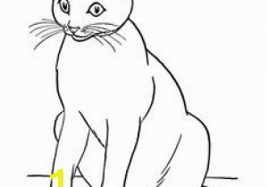 Siamese Cat Coloring Pages Brenda Eskew Sillyplanter On Pinterest