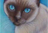 Siamese Cat Coloring Pages original Siamese Cat Art Colored Pencil by Artbylisamnelson