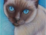 Siamese Cat Coloring Pages original Siamese Cat Art Colored Pencil by Artbylisamnelson