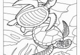 Siamese Fighting Fish Coloring Pages 18 Awesome Siamese Fighting Fish Coloring Pages Ideas Fish