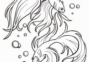 Siamese Fighting Fish Coloring Pages Betta Fish Coloring Pages Art Drawing Templates