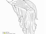 Siamese Fighting Fish Coloring Pages Betta Fish I M Gonna Try to Draw This for My Friend She is A Betta