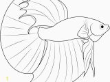 Siamese Fighting Fish Coloring Pages Realistic Fish Coloring Pages