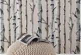 Silver Birch Wall Mural 12 Best Birch Tree Mural Images