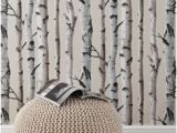 Silver Birch Wall Mural 12 Best Birch Tree Mural Images