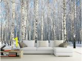 Silver Birch Wall Mural Discount Birch Wallpaper