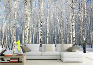 Silver Birch Wall Mural Discount Birch Wallpaper