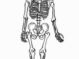 Skeleton Coloring Page for Kids Free Printable Skeleton Coloring Pages for Kids