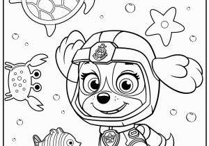 Skye Paw Patrol Coloring Pages 13 Paw Patrol Coloring Page