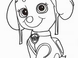 Skye Paw Patrol Coloring Pages Coloring Pages Paw Patrol Coloring Pages Coloring Pages