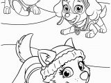 Skye Paw Patrol Coloring Pages Coloring Pages Paw Patrol Coloring Pages Coloring Pages