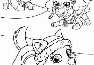 Skye Paw Patrol Coloring Pages Coloring Pages Paw Patrol Coloring Pages Coloring Pages