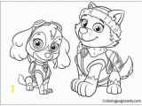 Skye Paw Patrol Coloring Pages Zuma Paw Patrol Coloring Page Luxury Zuma Coloring Pages New Paw