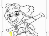 Skye Paw Patrol Printable Coloring Pages 25 Best Paw Patrol Images