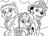 Skye Paw Patrol Printable Coloring Pages 35 Best Paw Patrol Images On Pinterest