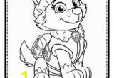 Skye Paw Patrol Printable Coloring Pages Paw Patrol Coloring Pages Google Search Coloring Pages