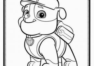 Skye Paw Patrol Printable Coloring Pages Paw Patrol Printable Party Ideas