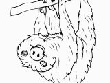 Sloth Coloring Pages for Kids Coloringpictureofasloth Google Search