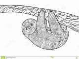 Sloth Coloring Pages for Kids Sloth Coloring Book for Adults Vector Stock Vector